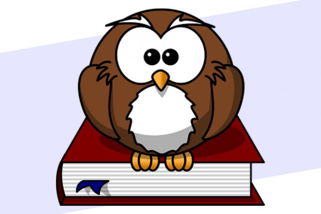 Cartoon einer Lehrereule sitzt auf Buch