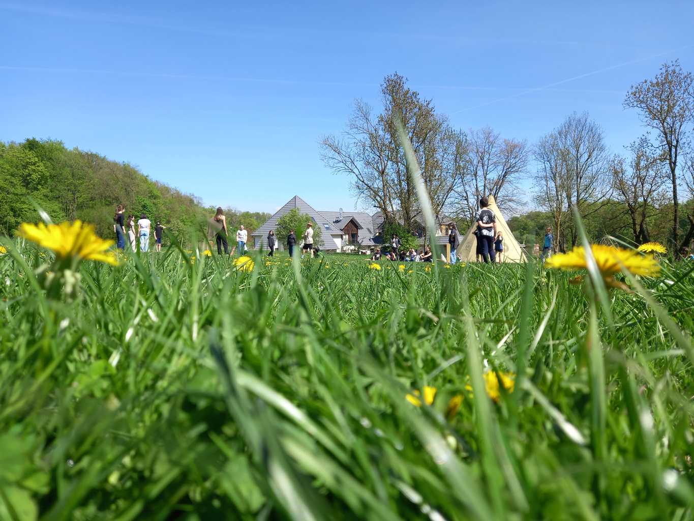 6b auf der Language Farm beim Cricketspiel