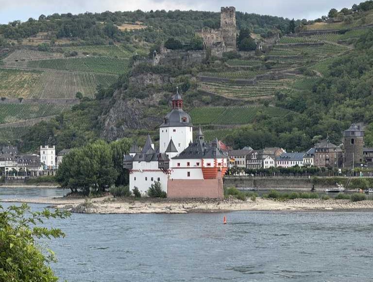 Die Klasse 7c im Mittelrheintal