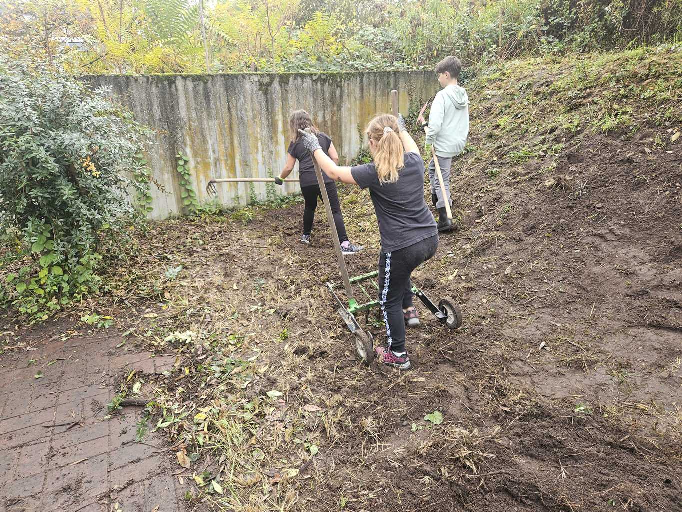 Garten-AG legt los Garten-AG legt los