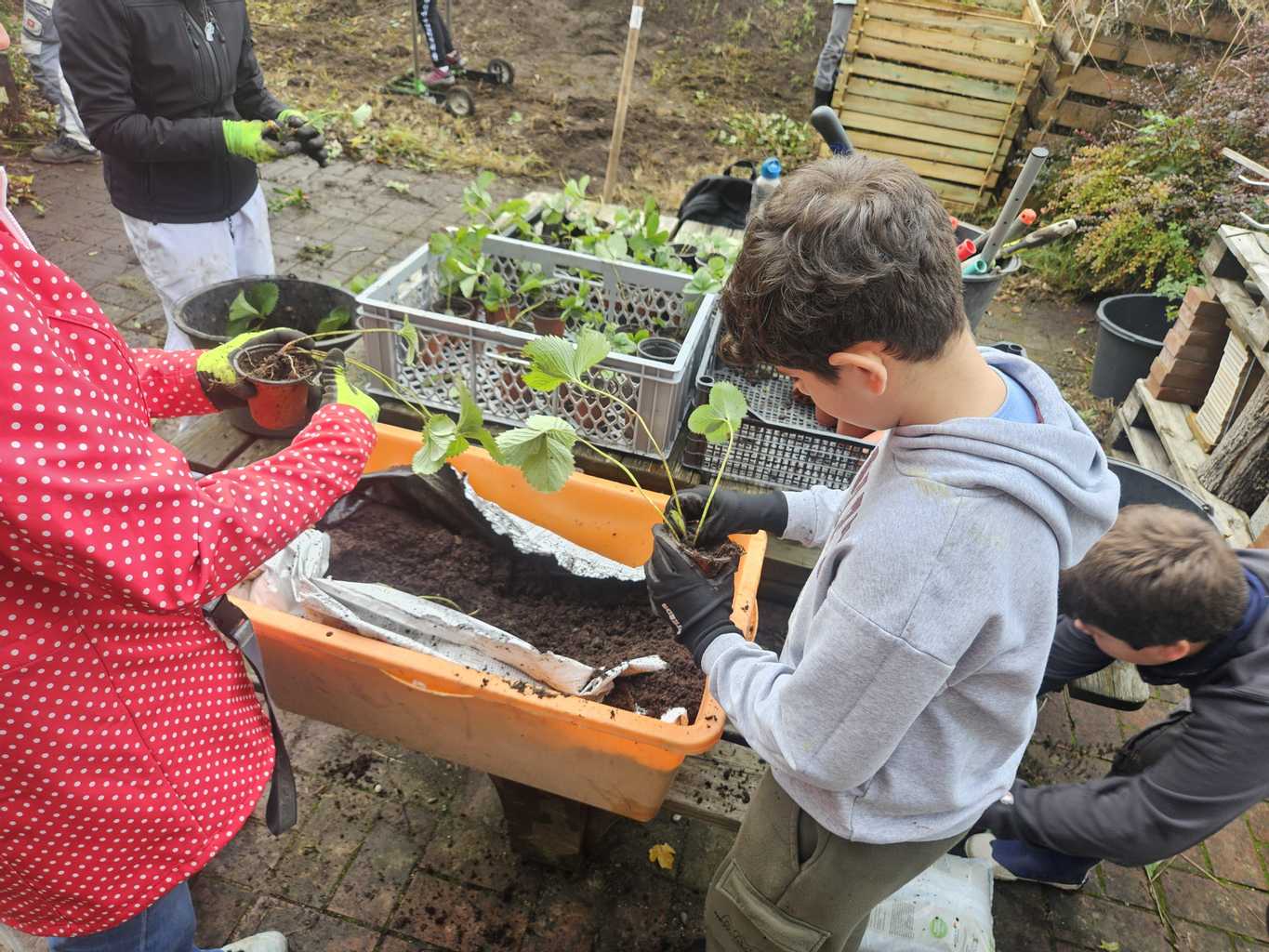 Garten-AG legt los Garten-AG legt los