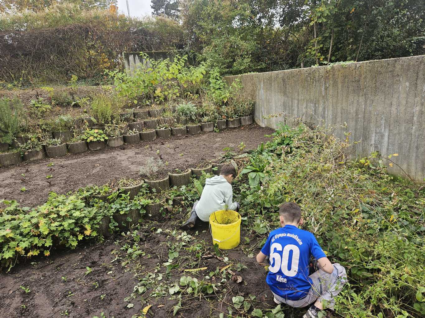 Garten-AG legt los Garten-AG legt los